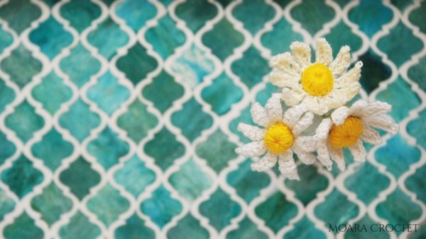 crochet daisies flower