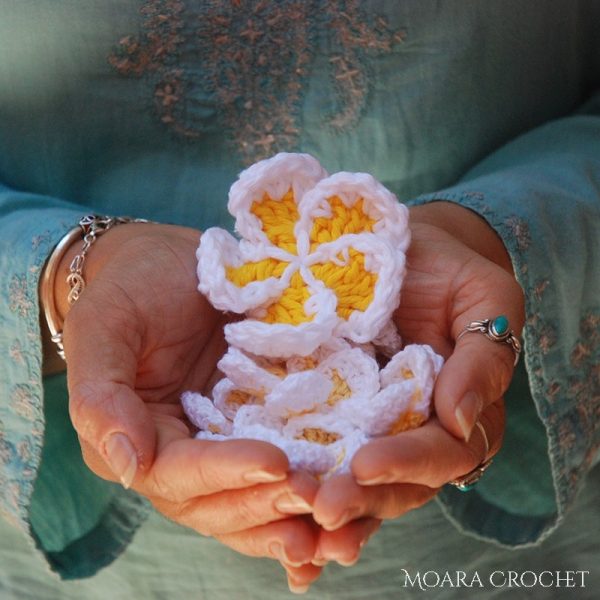 woman holding frangipani flower crochet