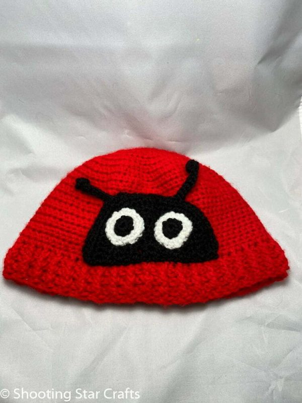 Lady Bug Crochet Hat