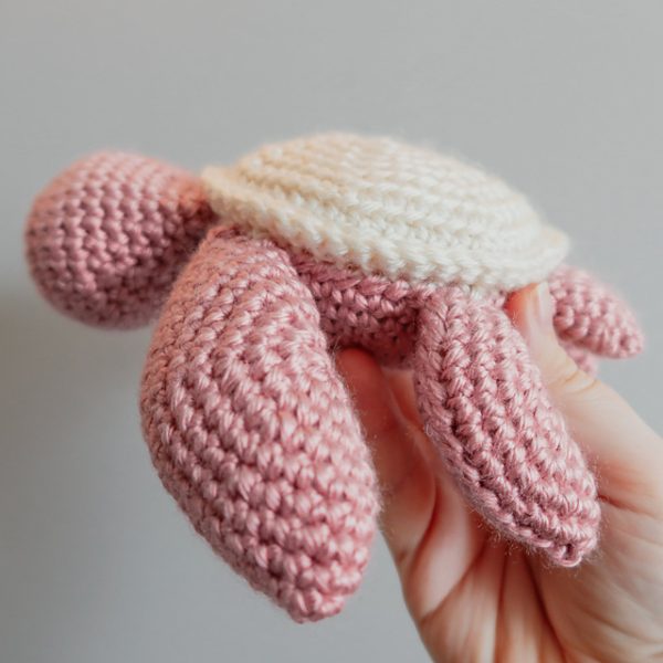 Crochet Tiny Turtle 