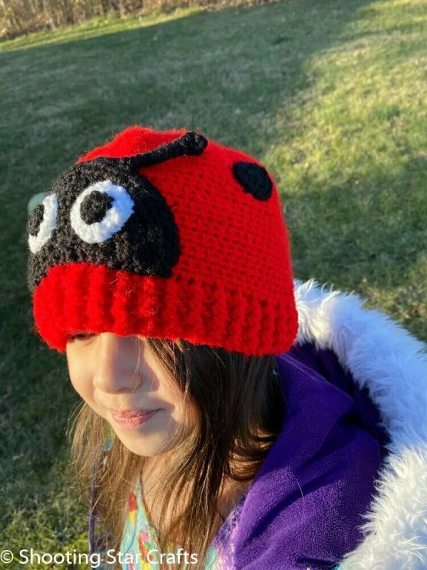 Crochet Ladybug Hat